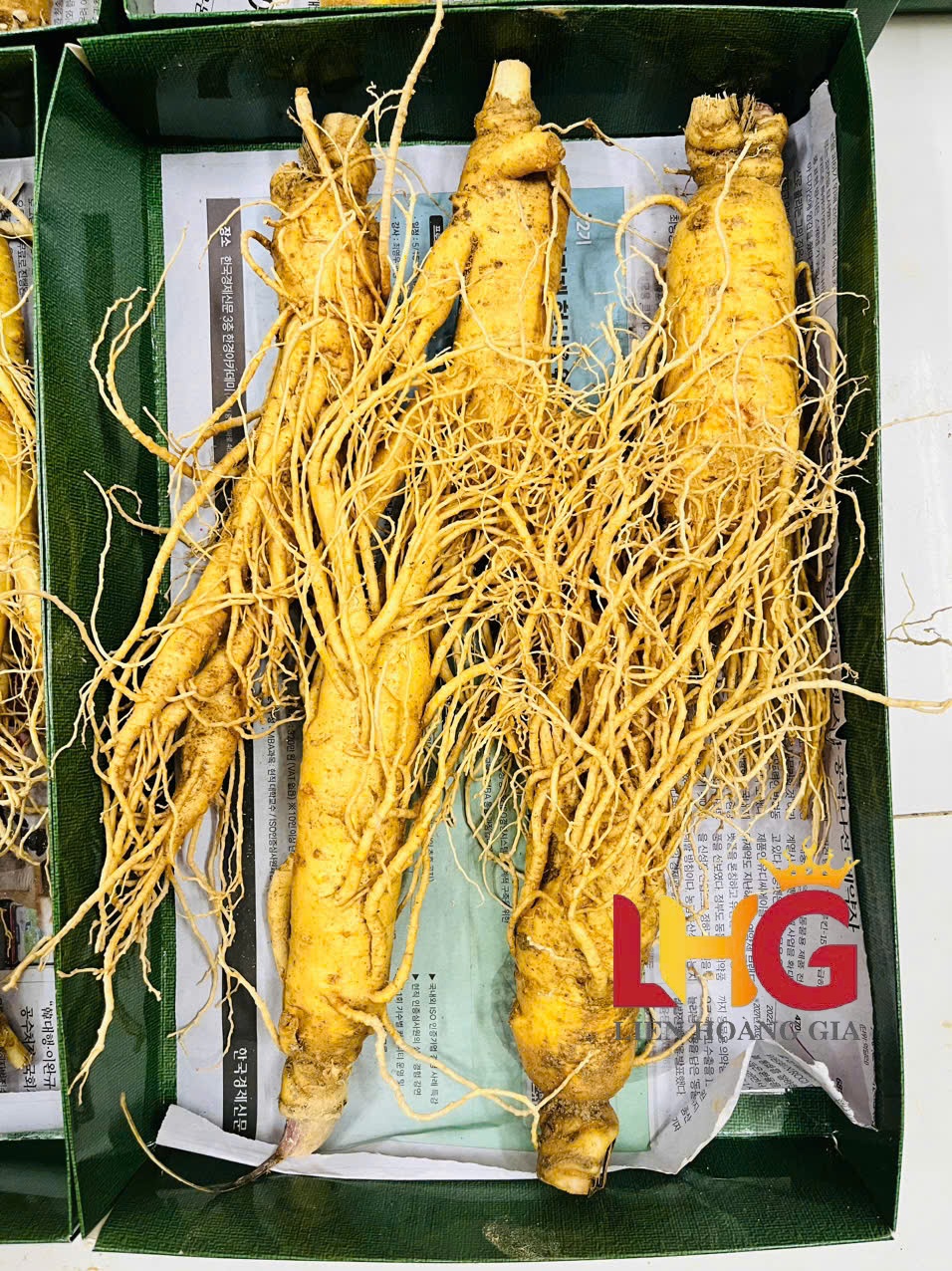 Nhân sâm tươi Hàn Quốc dùng để ngâm rượu bổ dưỡng