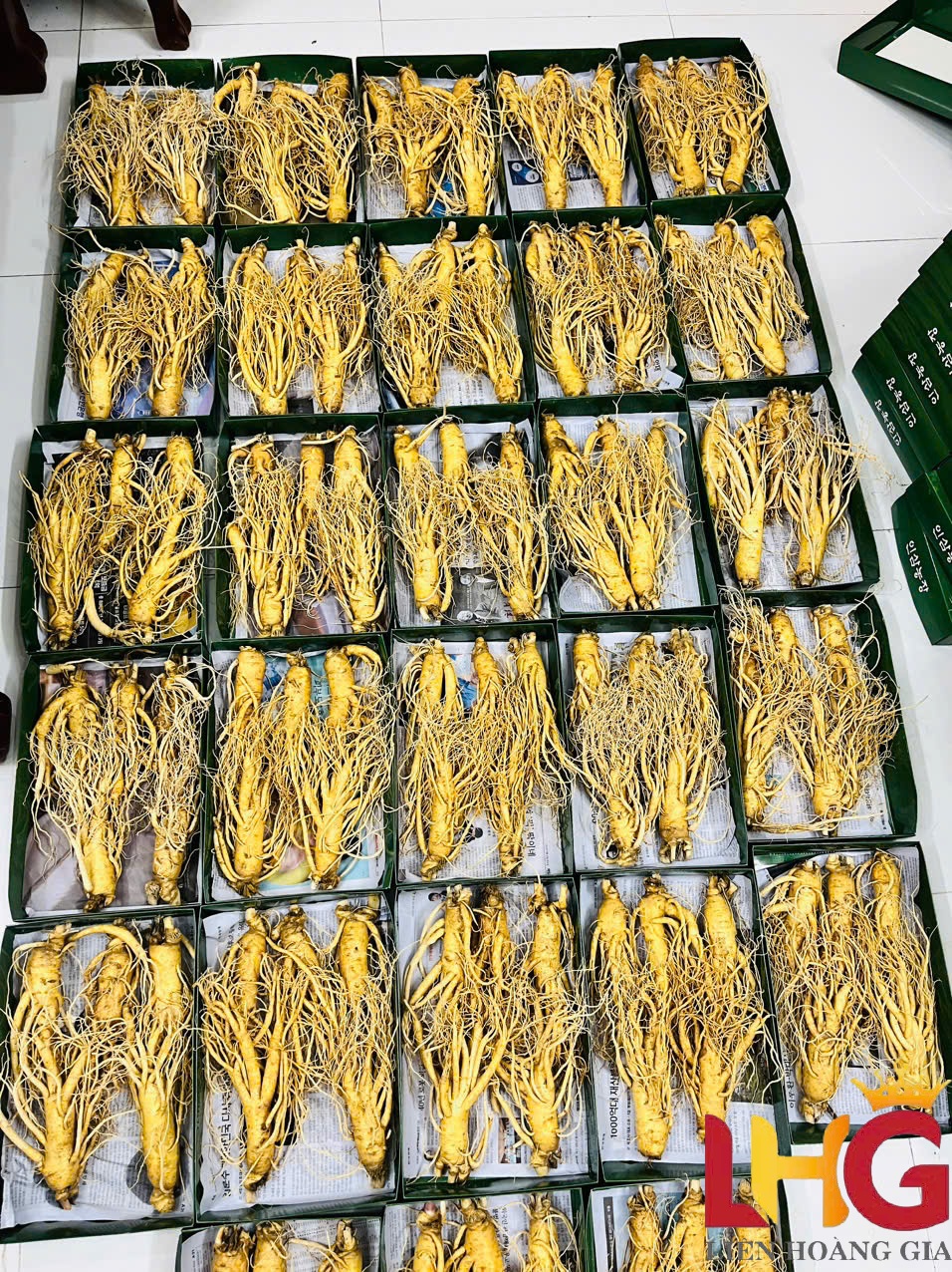 Nhân sâm tươi nhập khẩu trực tiếp từ Hàn Quốc