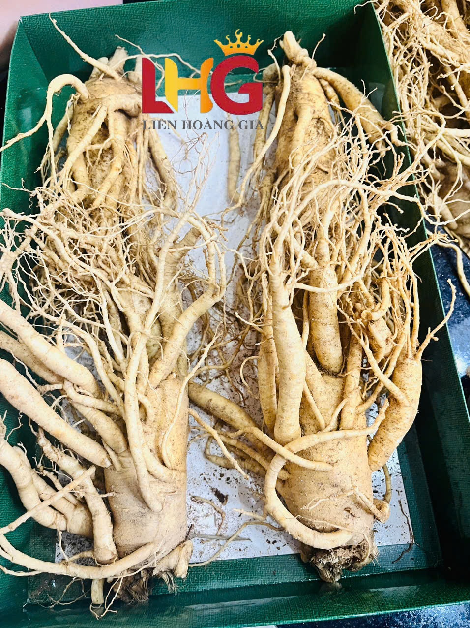 Nhân sâm tươi Hàn Quốc – món quà sức khỏe ý nghĩa