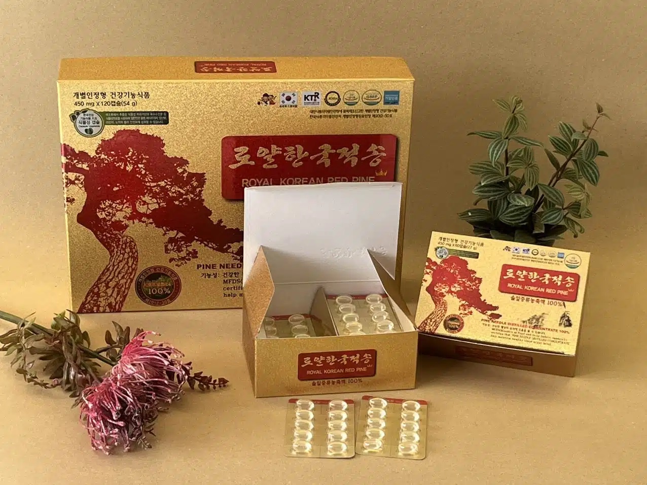 Quy cách đóng hộp 120 viên Tinh dầu thông đỏ DAEDONG Hoàng Gia