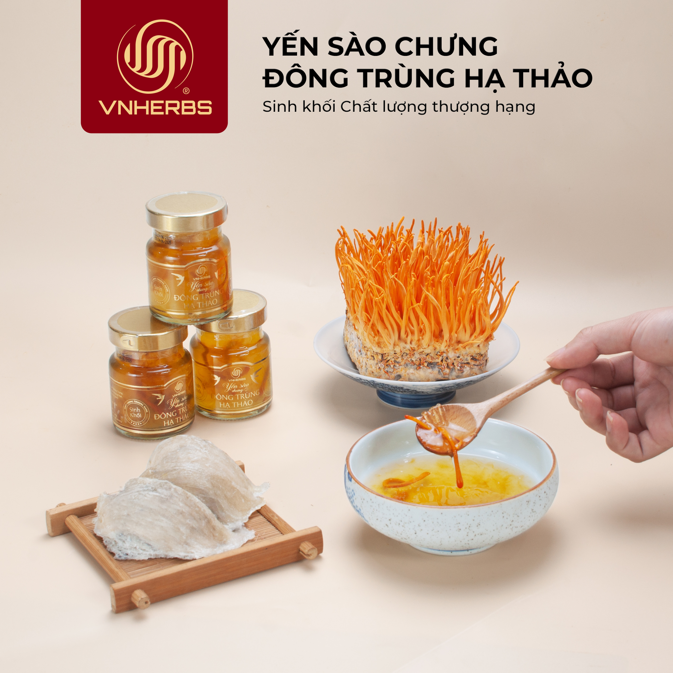 Hộp yến chưng đông trùng hạ thảo cao cấp