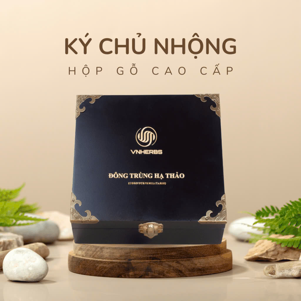 Hình ảnh hộp gỗ 40 con Đông Trùng Hạ Thảo ký chủ nhộng chính hãng