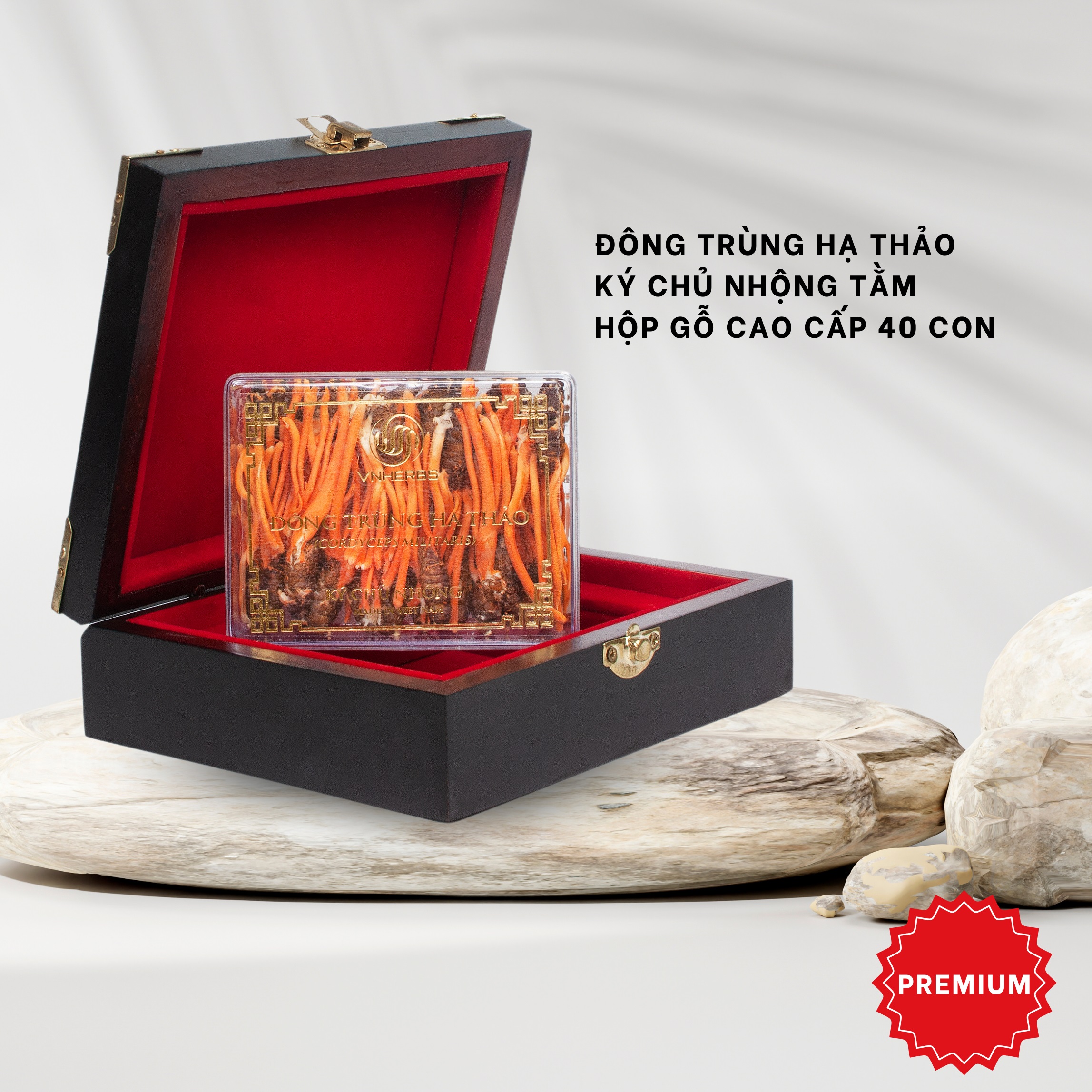 Quà biếu sức khỏe Đông Trùng Hạ Thảo hộp gỗ 40 con sang trọng