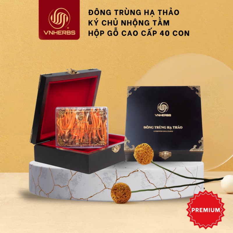 Hình ảnh Đông Trùng Hạ Thảo ký chủ nhộng hộp gỗ 40 con cao cấp chính hãng