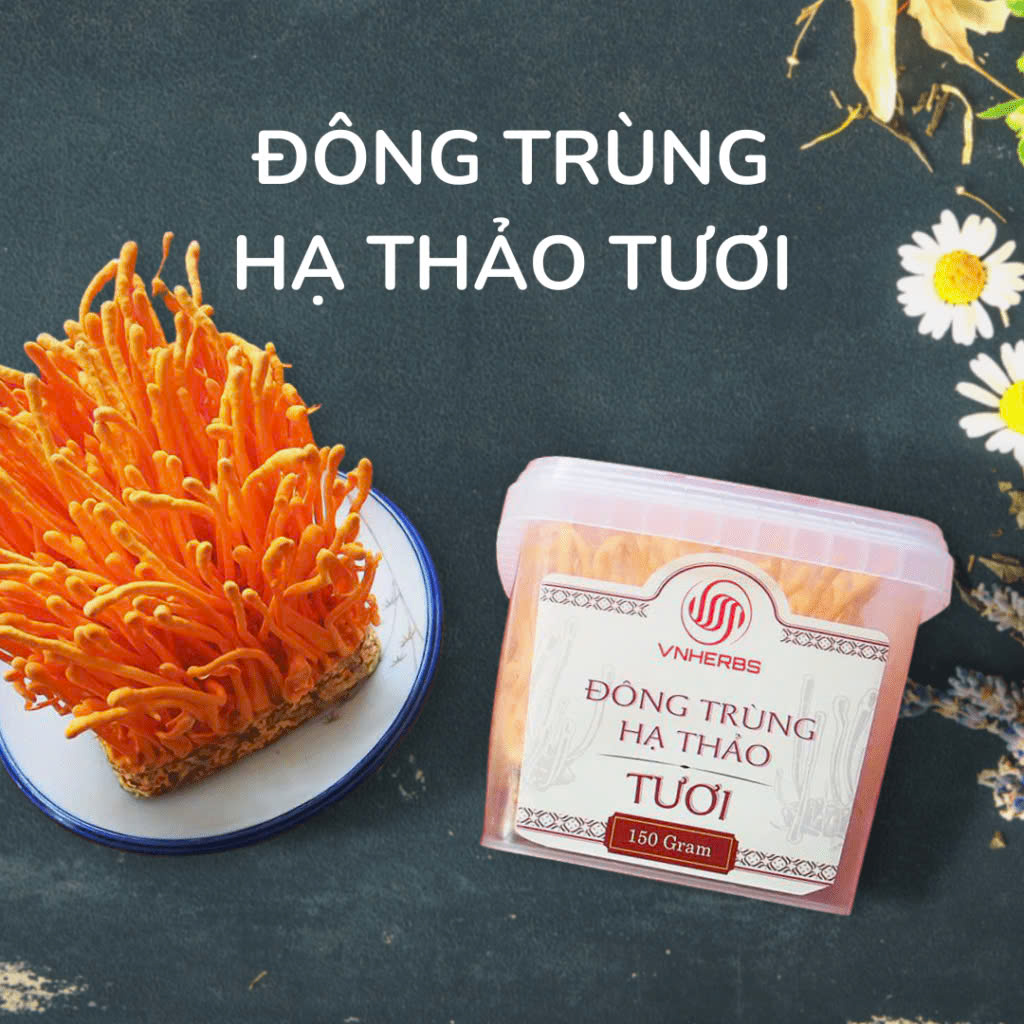 Đông Trùng Hạ Thảo tươi hộp 150 gram hỗ trợ gan thận khỏe mạnh