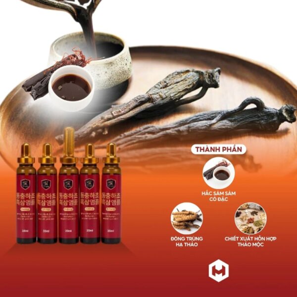 Đông trùng hạ thảo kết hợp hắc sâm Ginseng King