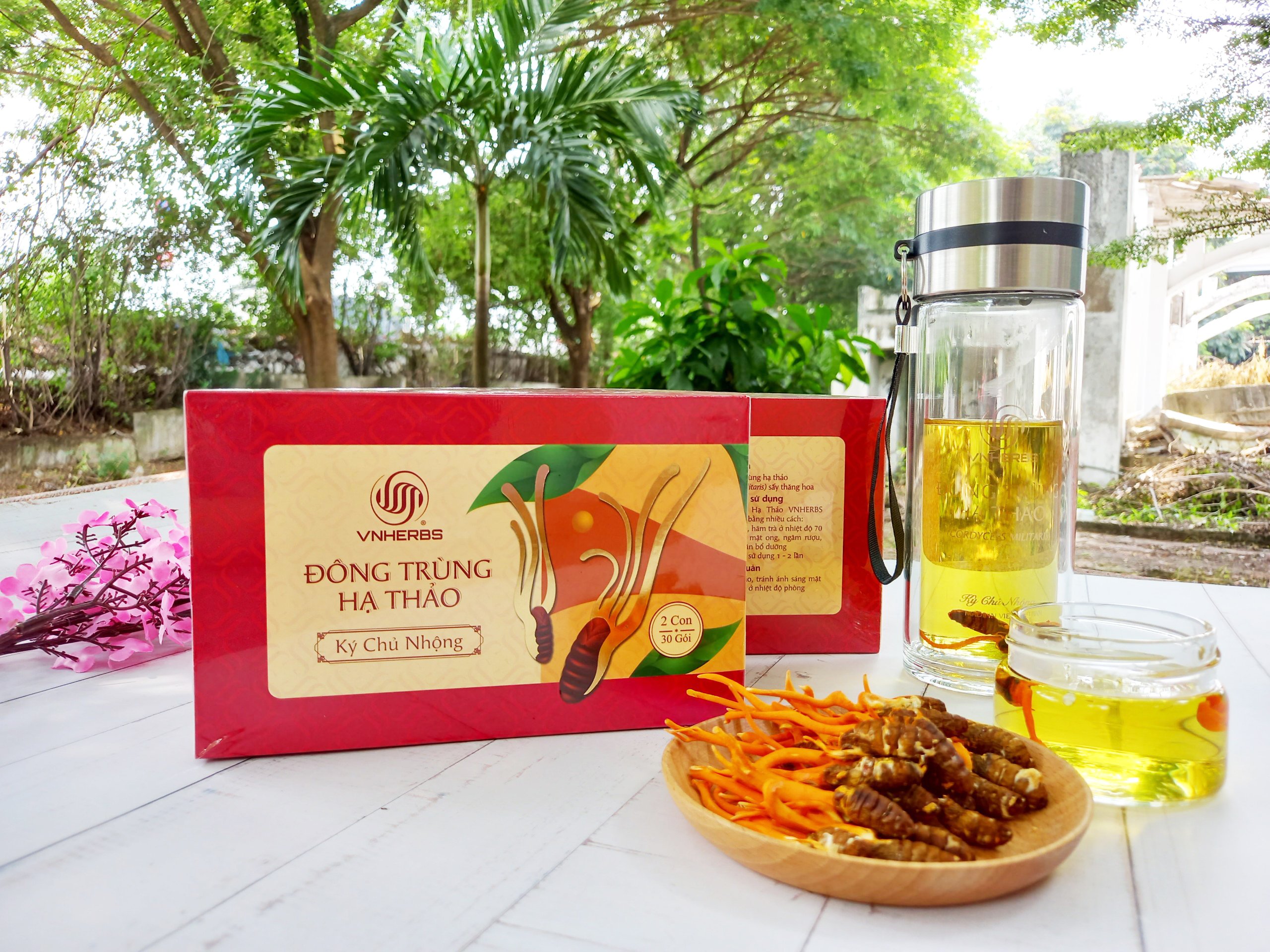 Hộp giấy Đông Trùng Hạ Thảo ký chủ nhộng 60 con sang trọng