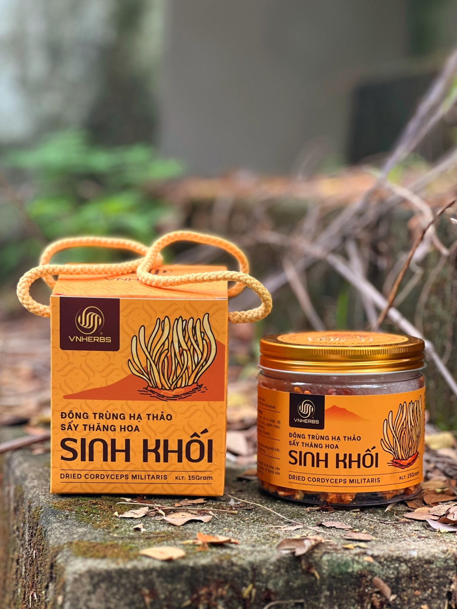 Đông Trùng Hạ Thảo sấy thăng hoa giúp chống lão hóa và làm đẹp da