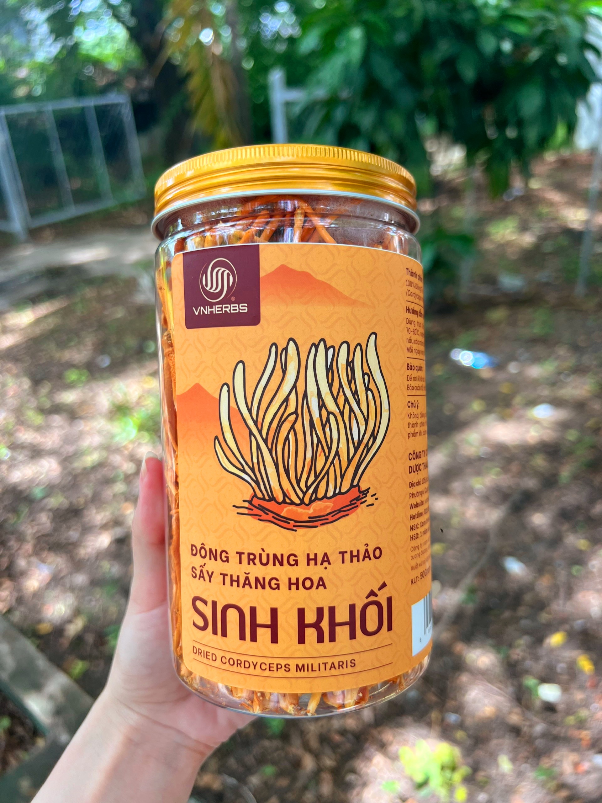 Đông Trùng Hạ Thảo sấy thăng hoa 50g tăng cường sức đề kháng