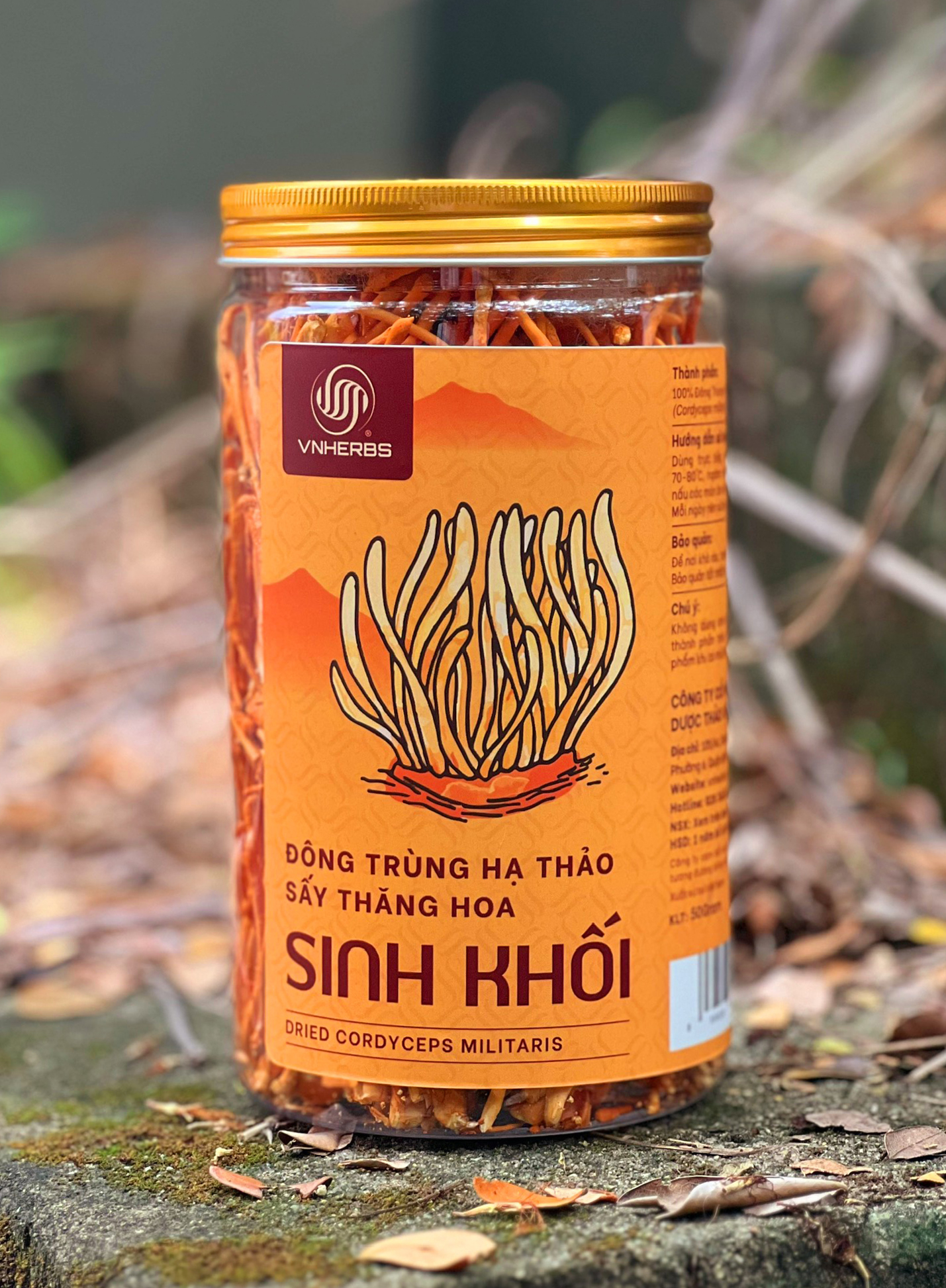 Hộp Đông Trùng Hạ Thảo sấy thăng hoa 50 gram chính hãng