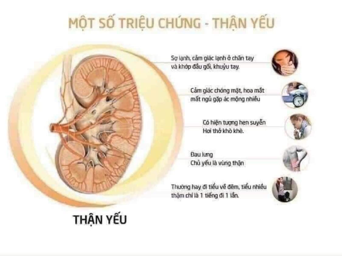 Hình ảnh người lớn tuổi sử dụng Bổ Thận Kwangdong 360 viên