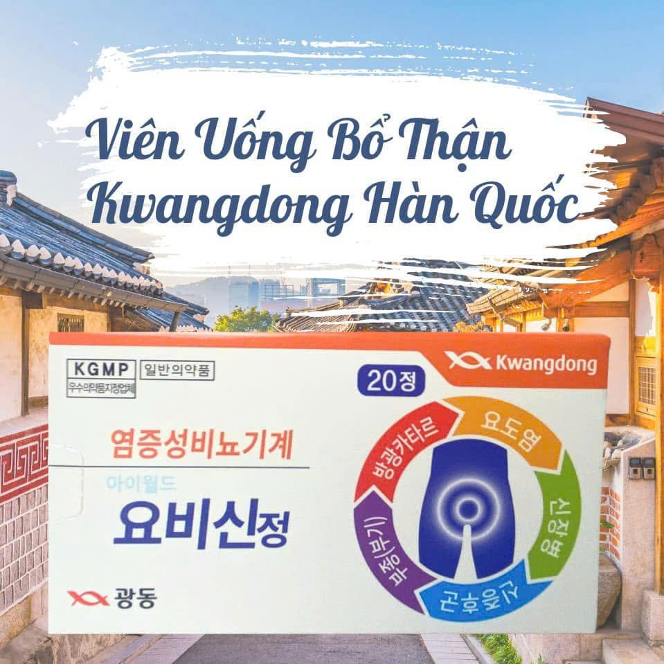 Chi tiết thành phần thảo dược Bổ Thận Kwangdong (Bạch chỉ, Hoàng kim)