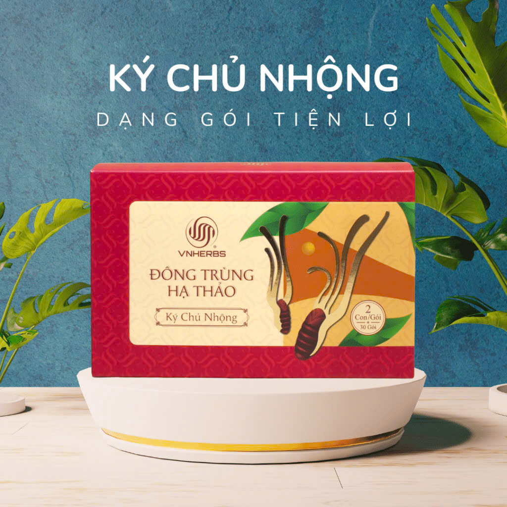 Đông Trùng Hạ Thảo ký chủ nhộng hộp giấy 60 con chính hãng