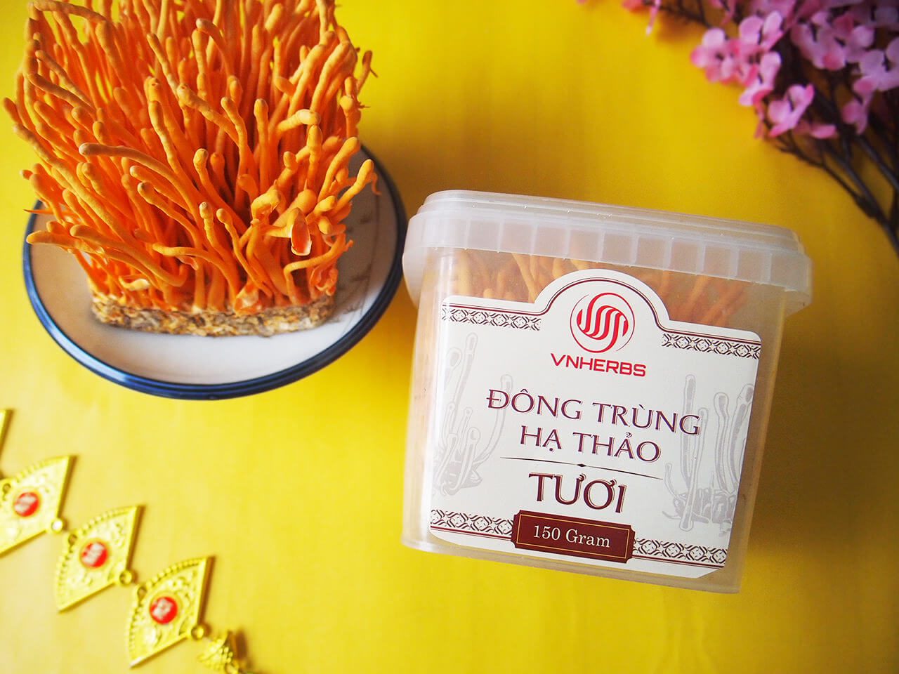 Hình ảnh thực tế Đông Trùng Hạ Thảo tươi VNHERBS có đế