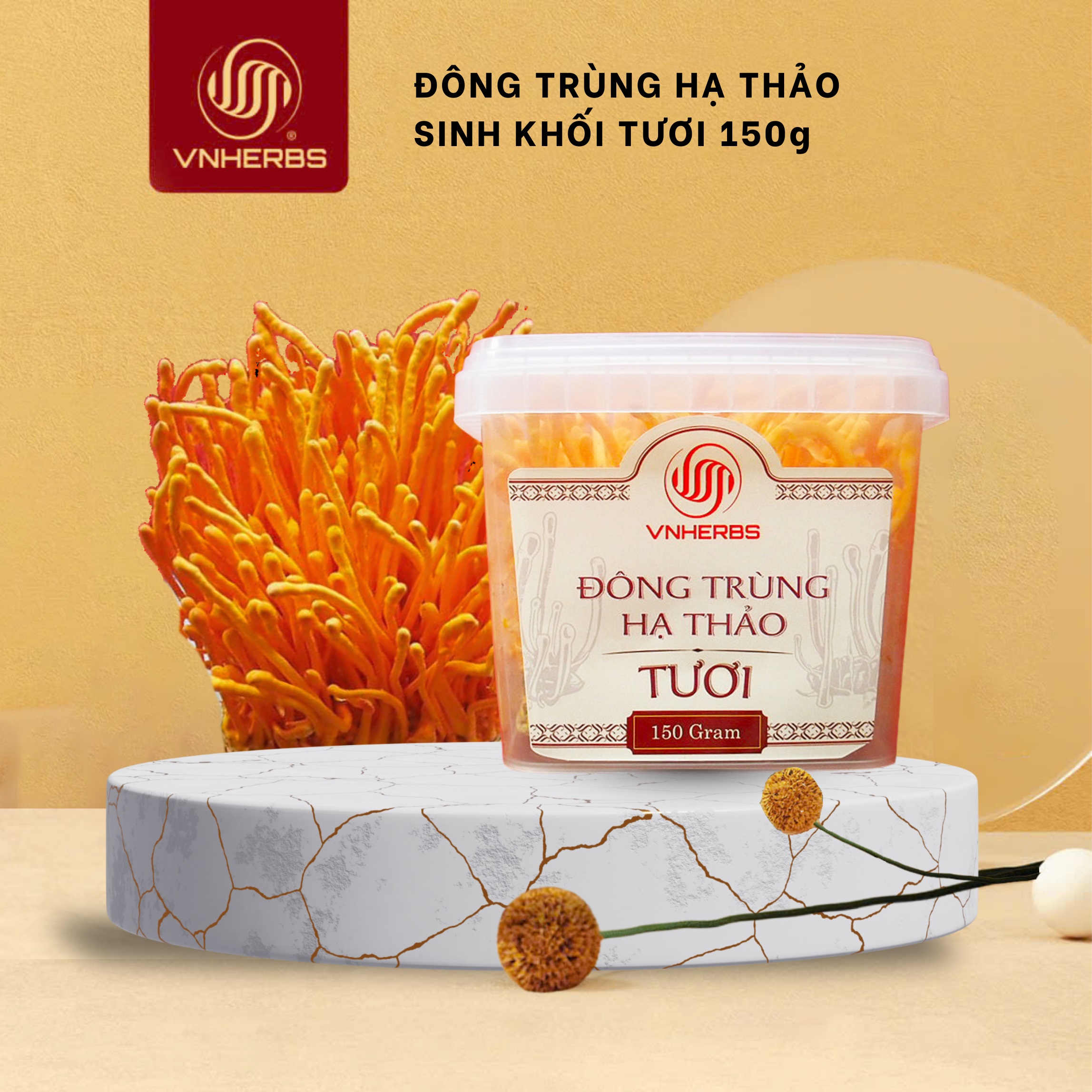 Đông Trùng Hạ Thảo tươi hộp 150 gram có đế chính hãng