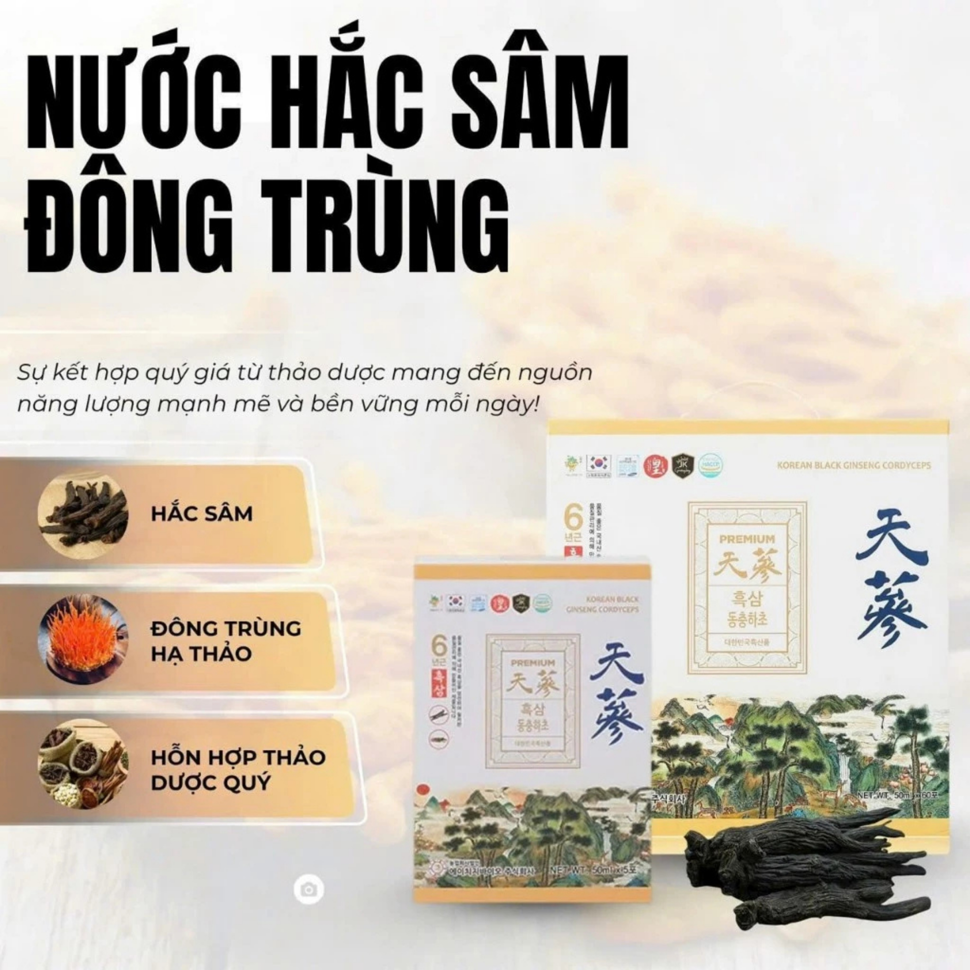 Công dụng tăng cường miễn dịch và phục hồi thể lực của Ginseng King