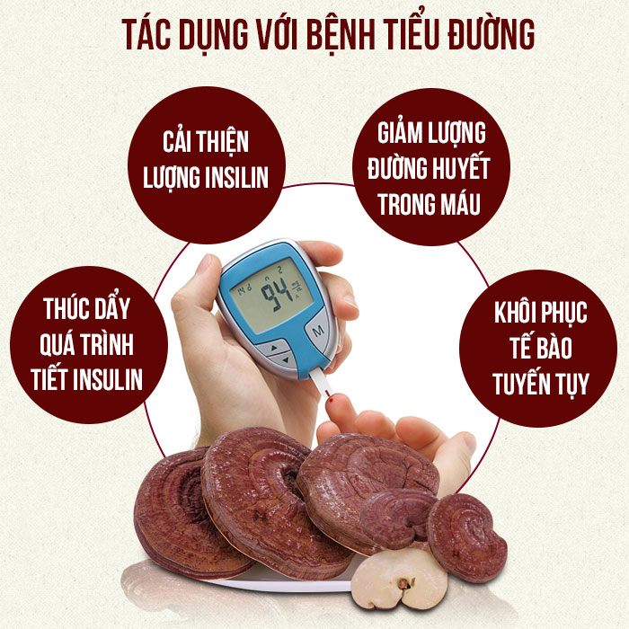 Nấm Linh Chi Thái Lát Youngji chăm sóc sức khỏe toàn diện