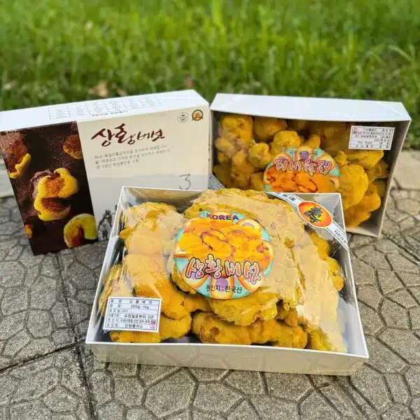 Hình ảnh tai nấm Thượng Hoàng Hàn Quốc nguyên bản chất lượng cao