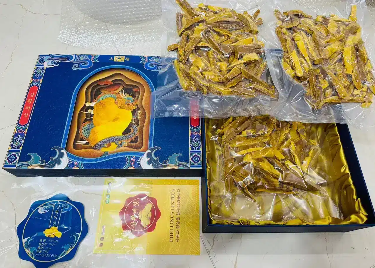 Nấm Thượng Hoàng Royal Plus Hàn Quốc làm quà biếu sức khỏe