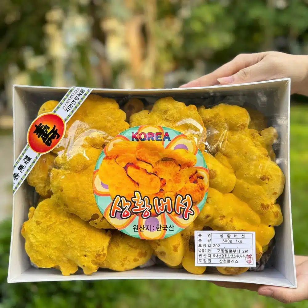 Nấm Thượng Hoàng Hàn Quốc chính hãng nhập khẩu