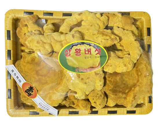 Nấm Thượng Hoàng Hàn Quốc nhập khẩu chính ngạch