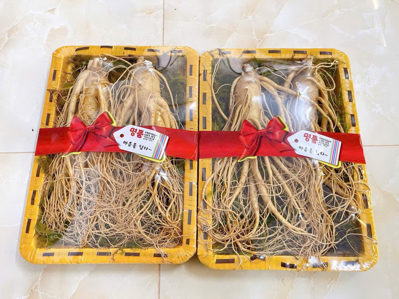 Bình rượu ngâm nhân sâm tươi Hàn Quốc loại 2 củ trưng bày sang trọng