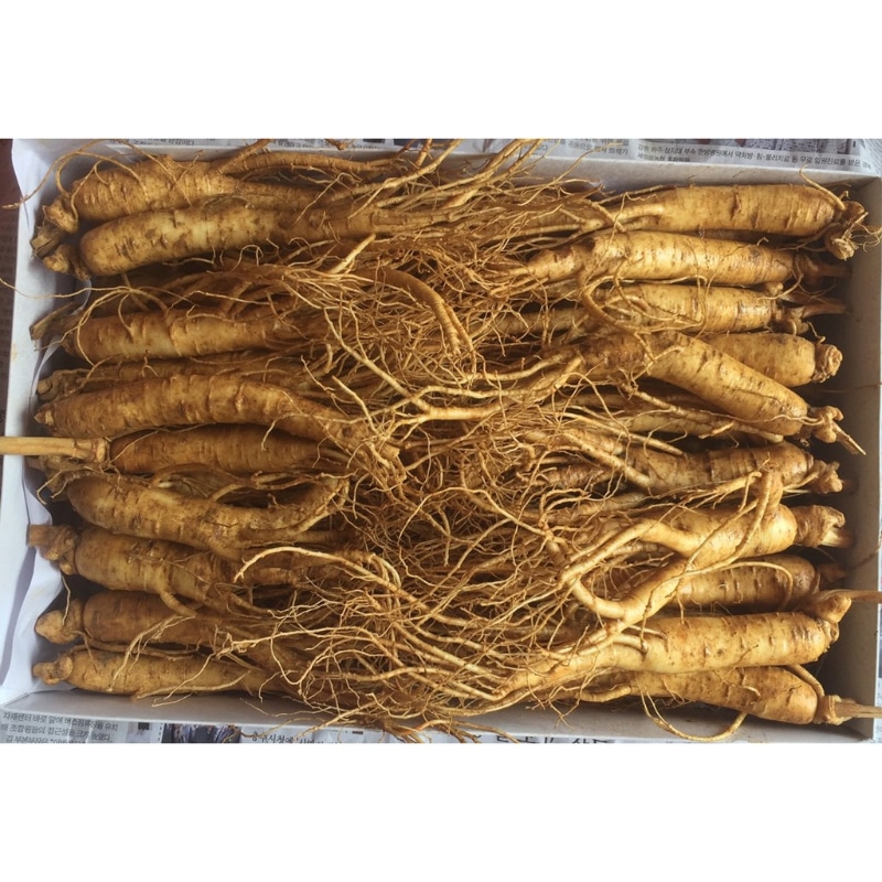 Vỉ nhân sâm tươi 20-30 củ/kg nhỏ gọn ngâm mật ong