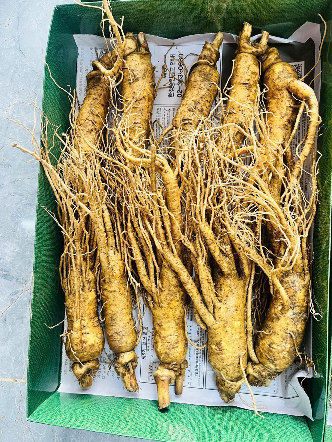 Nhân sâm tươi Hàn Quốc 9 củ/kg, hàng nhập khẩu giá tốt