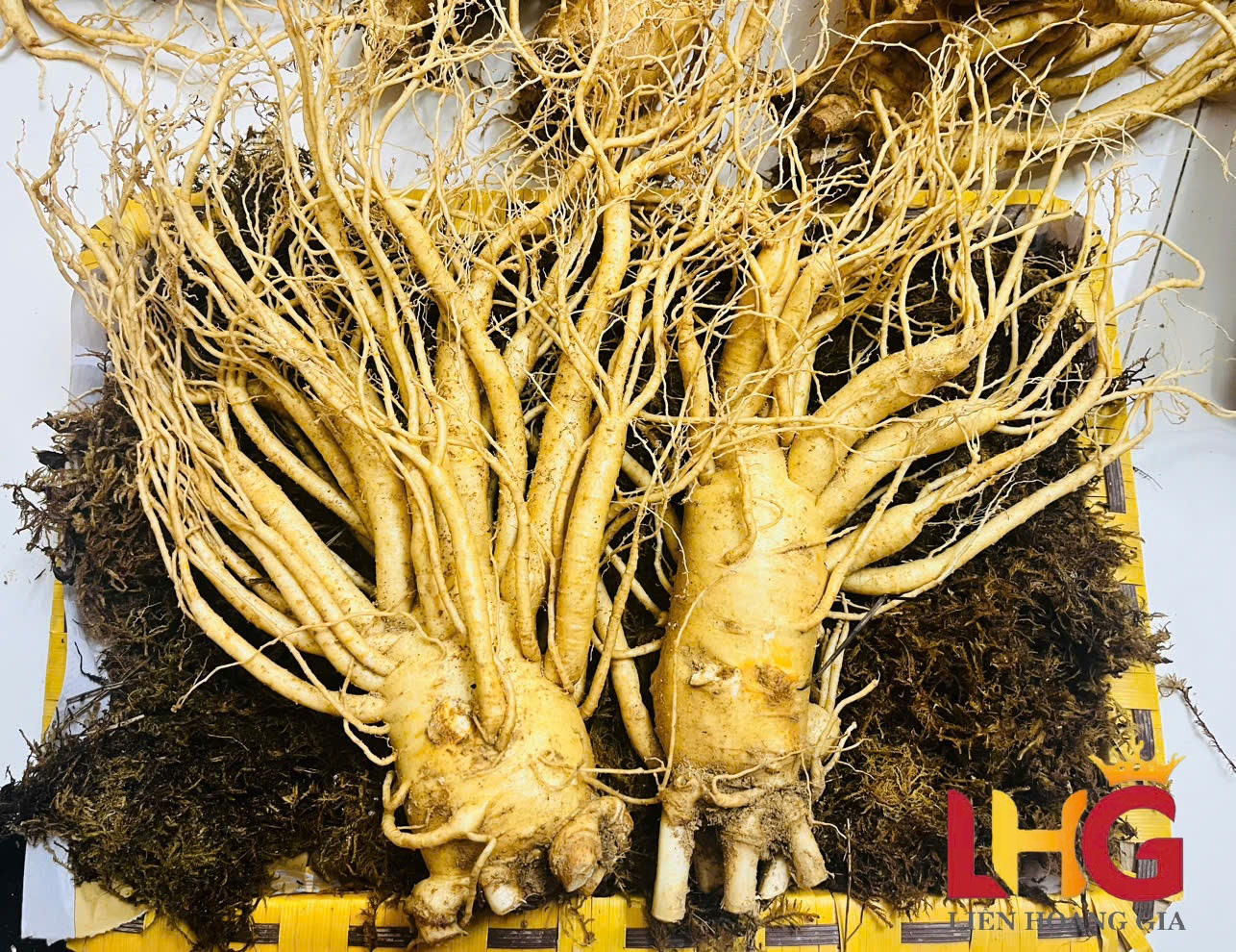 Hộp nhân sâm củ tươi Hàn Quốc 6 năm tuổi chính hãng, bao bì đẹp