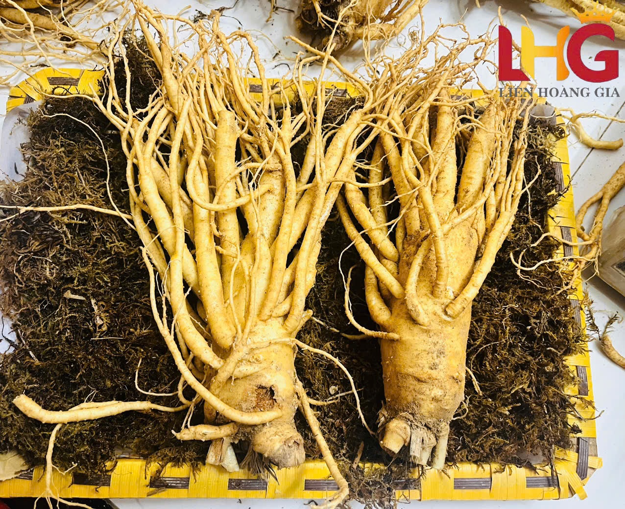 Nhân sâm tươi Hàn Quốc 6 năm tuổi loại 2-10 củ cực phẩm tại Liên Hoàng Gia