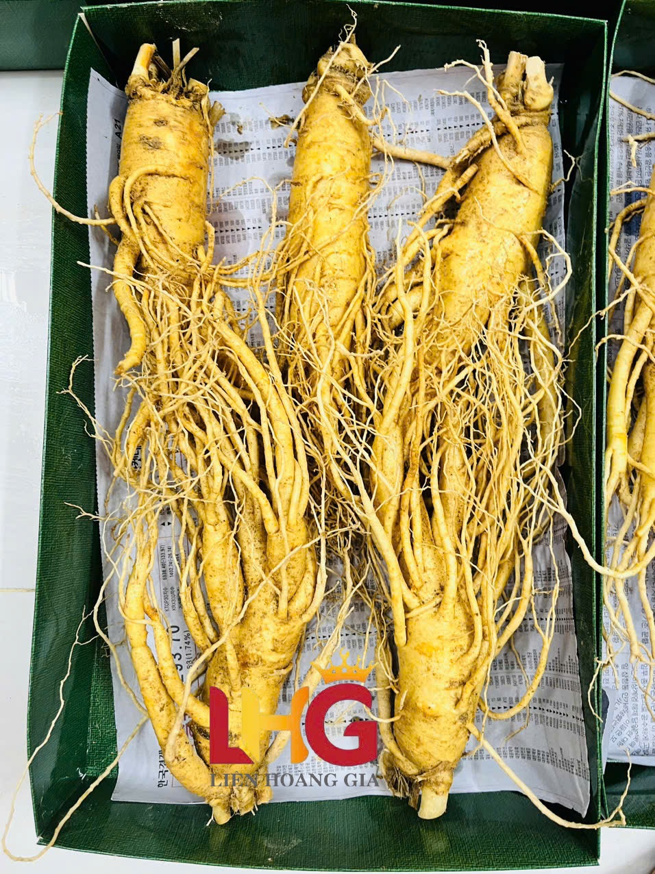 Cách hãm trà sâm tươi Hàn Quốc 6 năm tuổi đúng chuẩn trong ấm trà thủy tinh