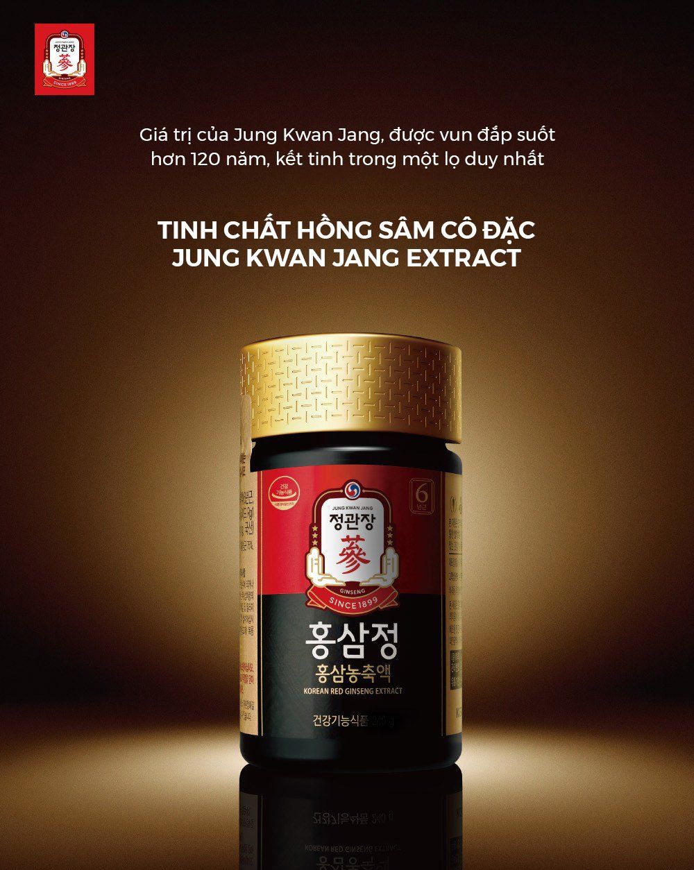 Tinh chất hồng sâm cô đặc KGC Jung Kwan Jang hộp 100g chính hãng sâm Chính phủ