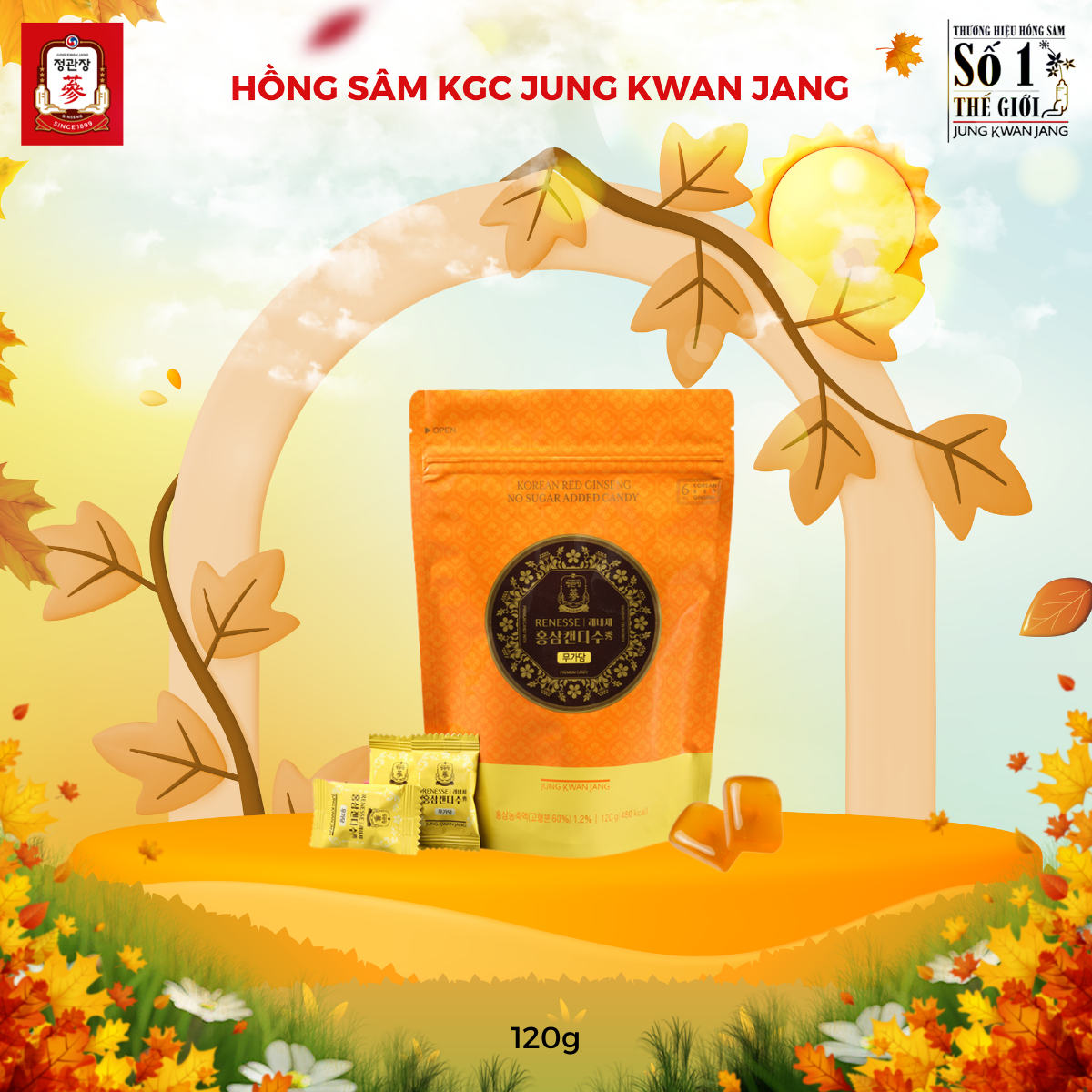 Kẹo Hồng Sâm Không Đường KGC Jung Kwan Jang 240g chính hãng mẫu mới nhất