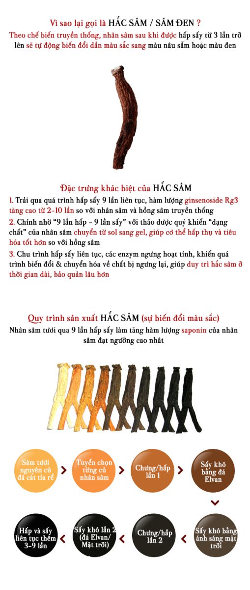 Quy trình cửu sấy hấp 9 lần liên tiếp cùng thảo dược giúp bứt phá hàm lượng Saponin Ginsenoside