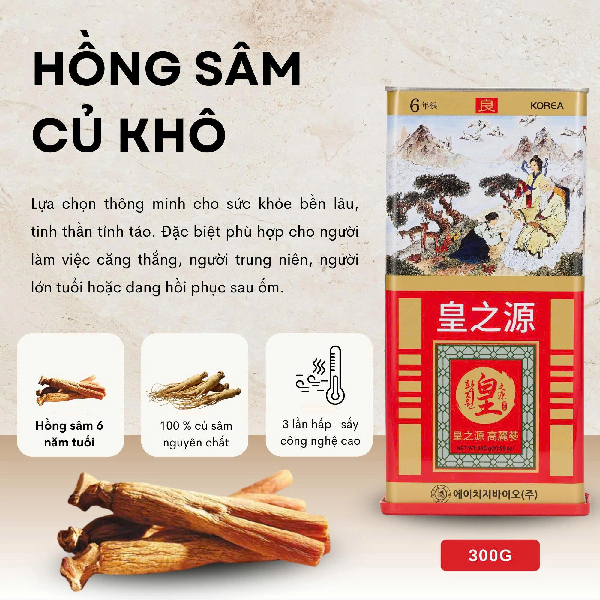 Cận cảnh mặt cắt hồng sâm củ khô HG Bio độ trong suốt và đặc ruột