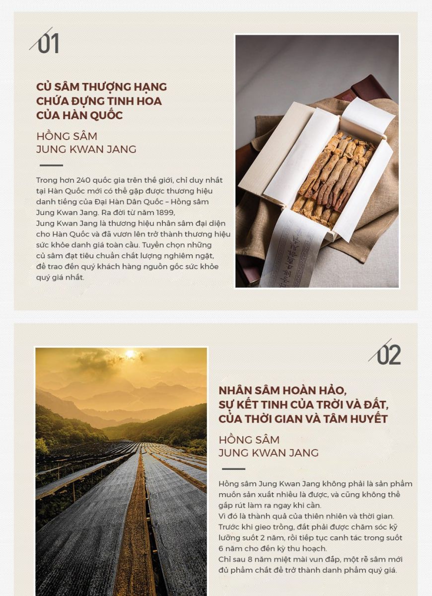 Phân loại Lương sâm thuộc top 10% hồng sâm thượng hạng KGC Chính phủ