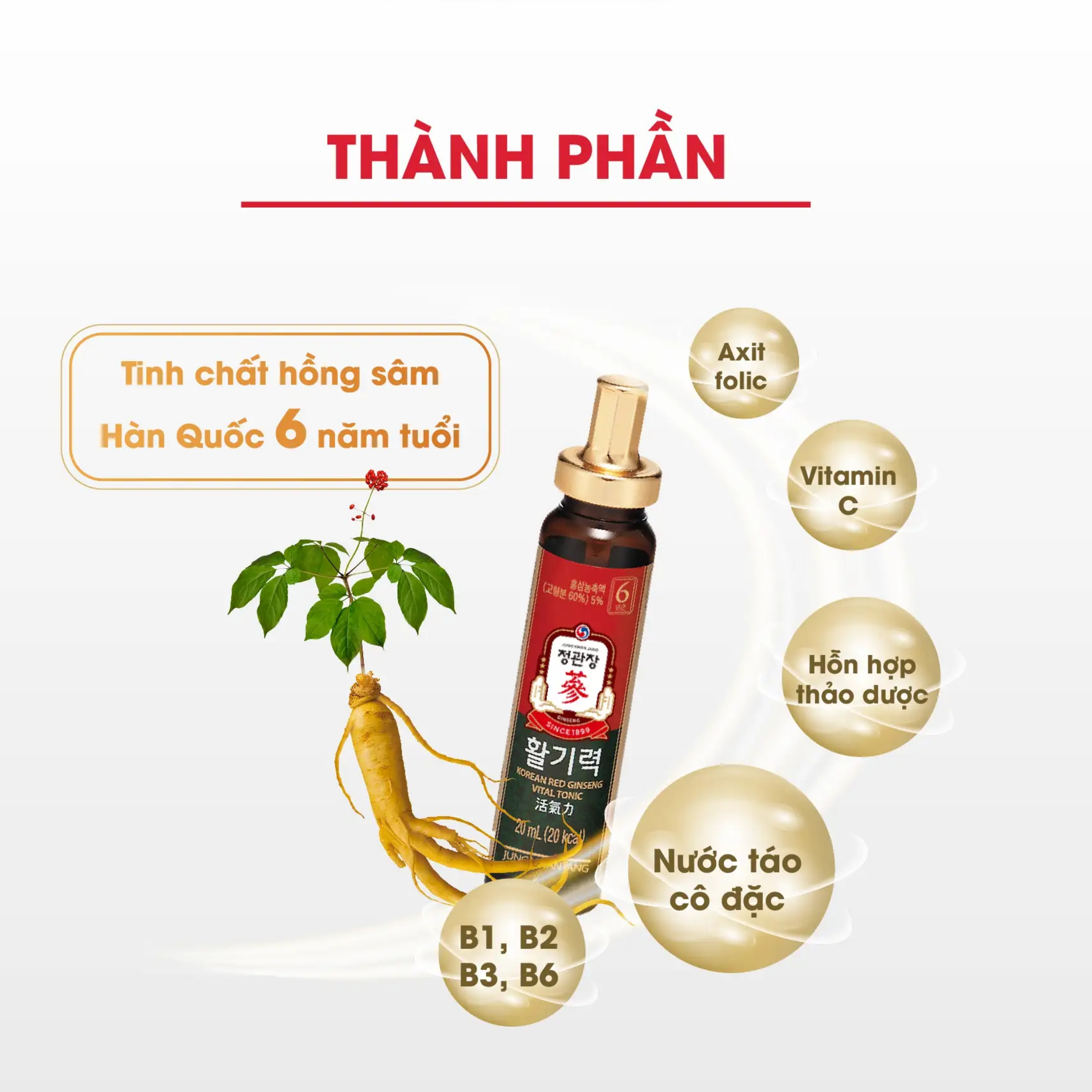 Thành phần Vitamin và thảo dược quý có trong nước sâm ống KGC Vital Tonic