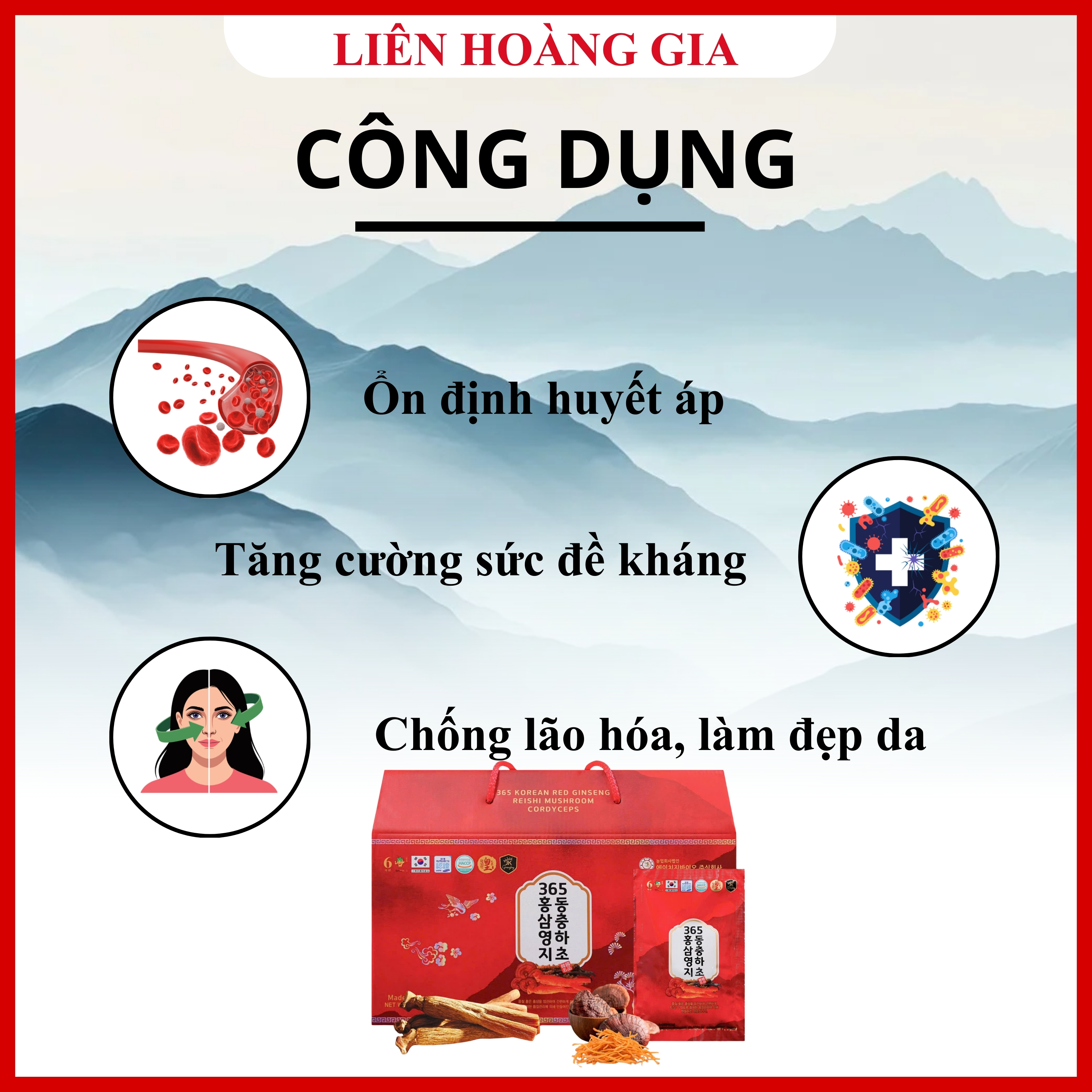 Nước Hồng Sâm Linh Chi Đông Trùng hỗ trợ chức năng gan và thận hiệu quả