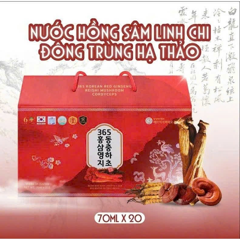 Nước Hồng Sâm Linh Chi Đông Trùng giúp bảo vệ gan thận và tuần hoàn