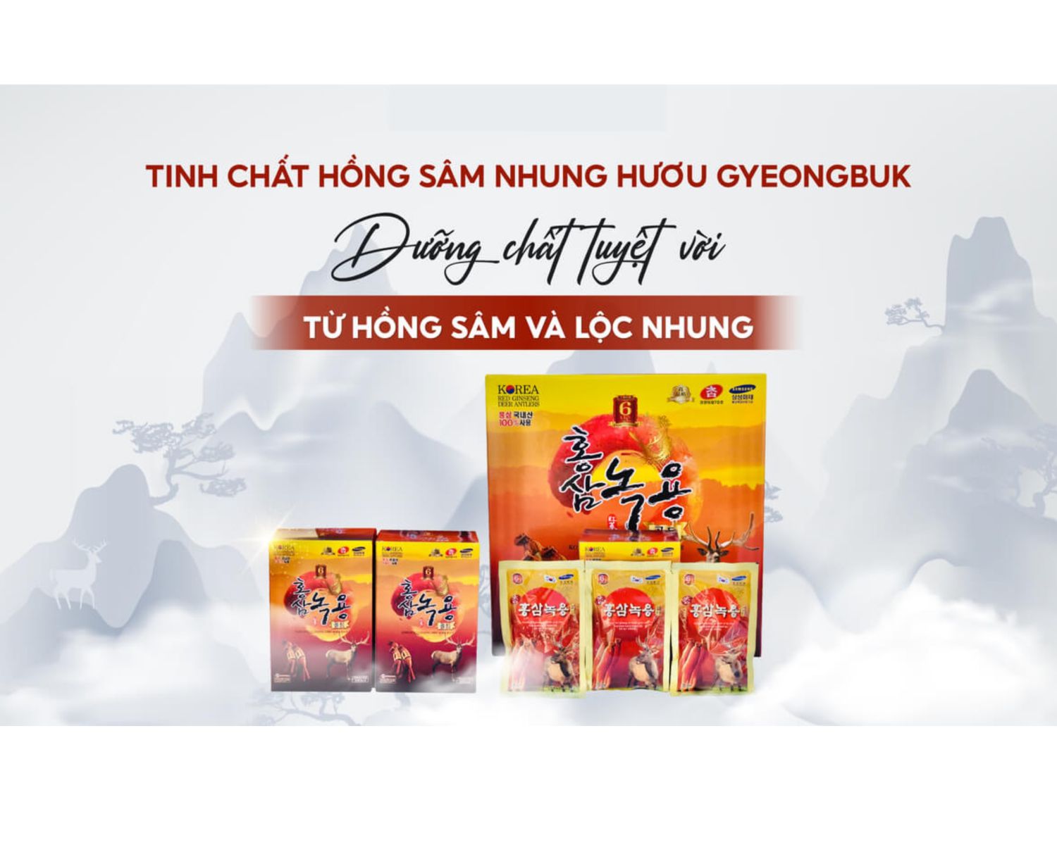 Nước Hồng Sâm Nhung Hươu GyeongBuk Kanghwa 30 gói x 70ml chính hãng