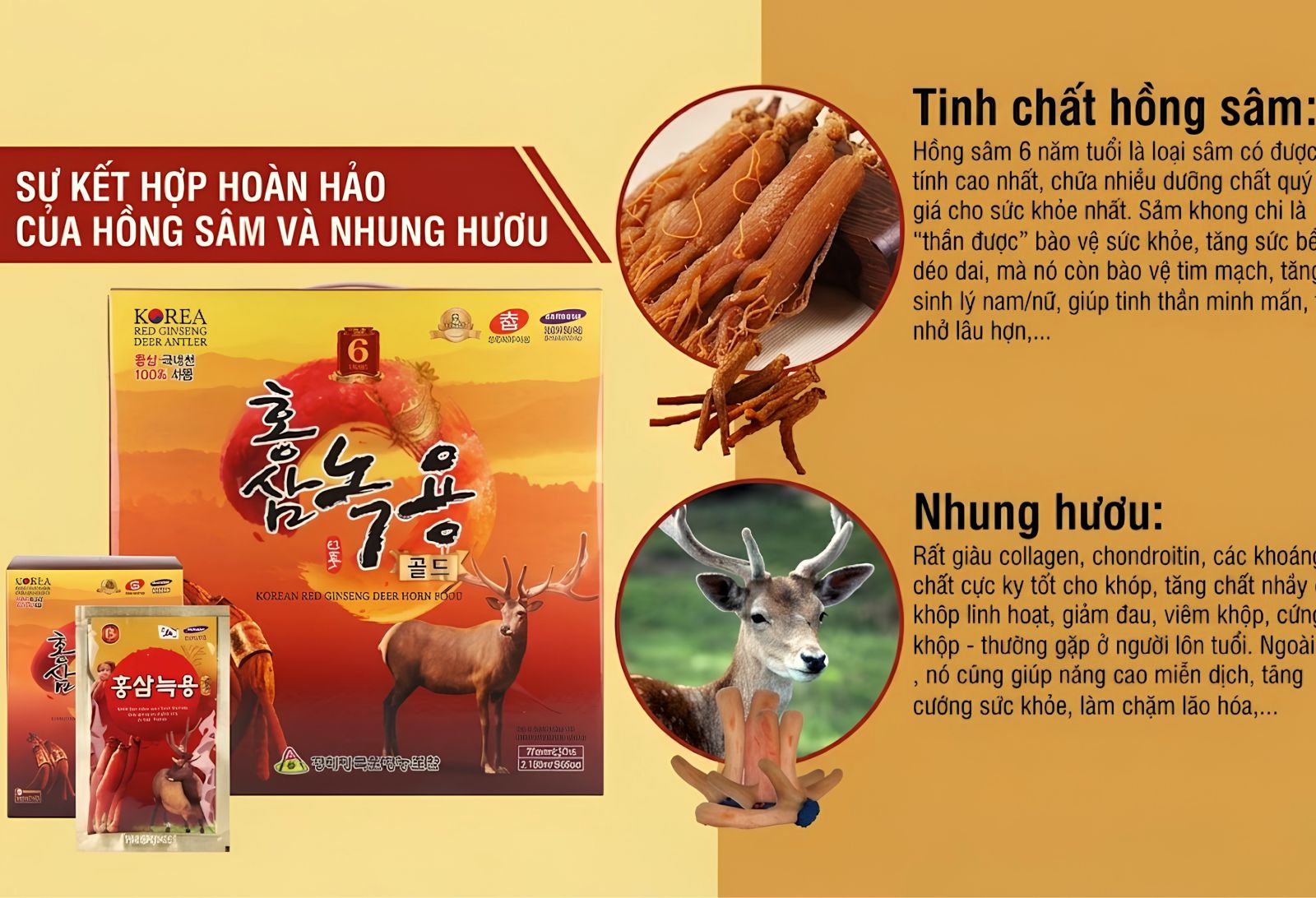 Thành phần chiết xuất hồng sâm saponin 70mg/g và nhung hươu trong nước sâm GyeongBuk