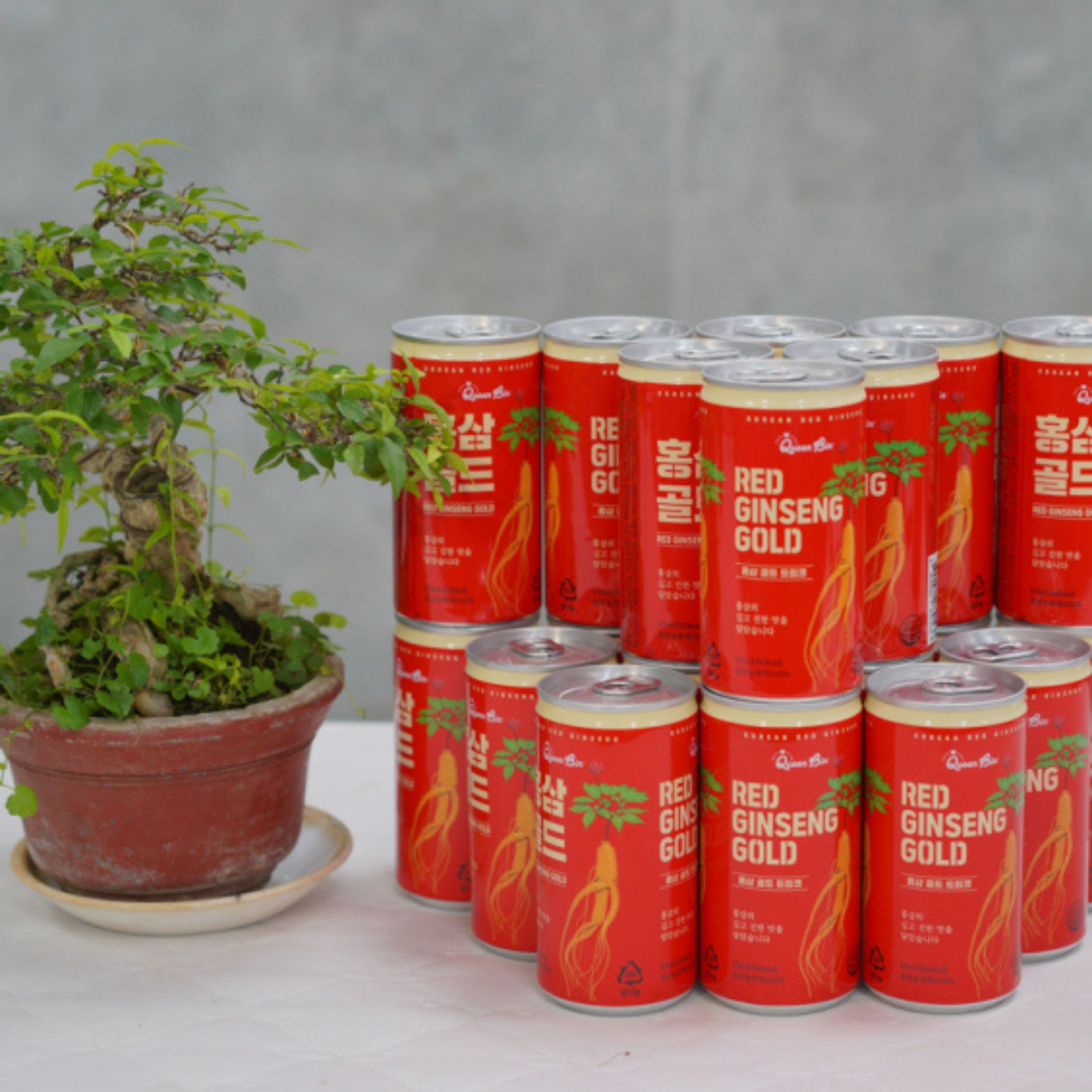 Phục hồi cơ thể suy nhược bằng Nước Hồng Sâm Queen Bin mỗi ngày.