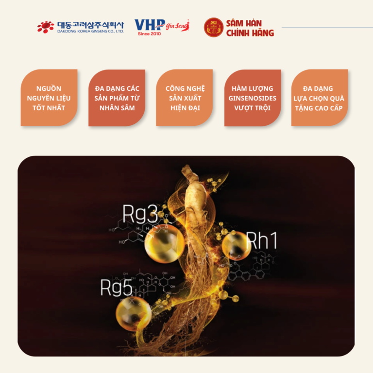 Hộp quà tết yến sào hồng sâm DKG.07 cao cấp