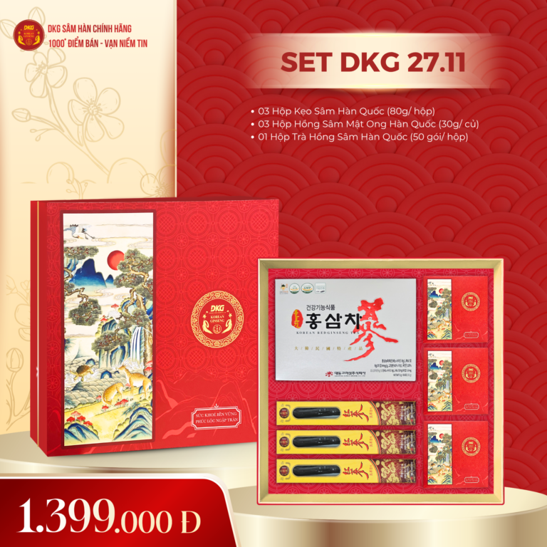 Set Quà Tết DKG.11 chính hãng VHP Ginseng
