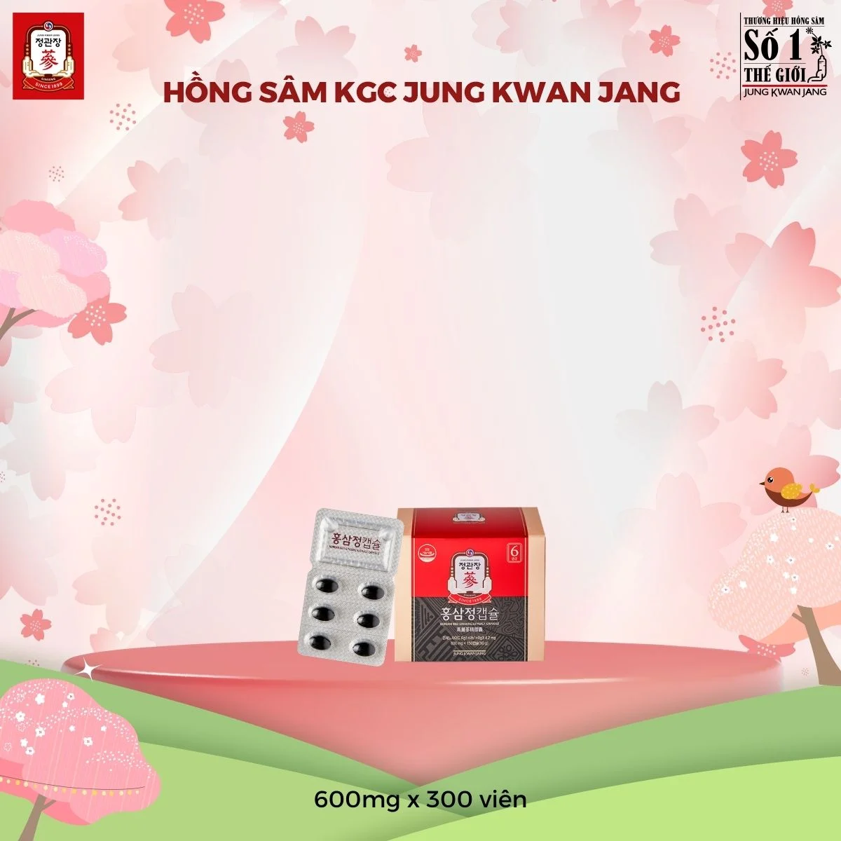 Viên nang mềm KGC Extract Capsule dễ hấp thụ và không gây đắng