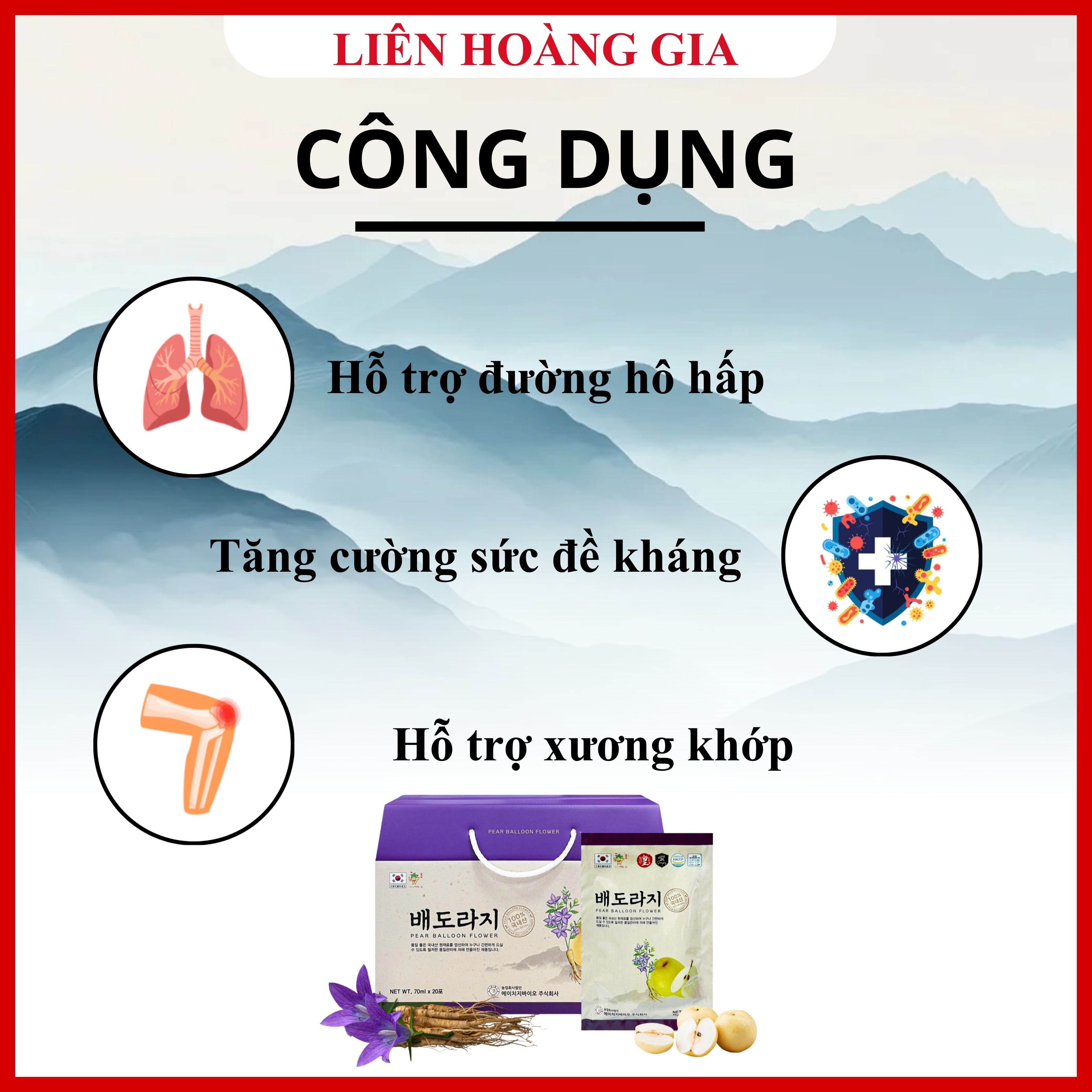 Người cao tuổi bị khô họng ho đêm nên sử dụng Nước Lê Hoa Chuông hằng ngày