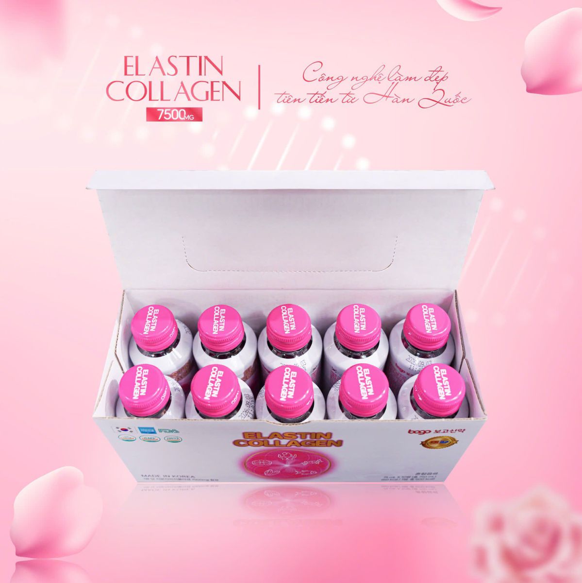 Công dụng kết nối sợi Collagen và phục hồi độ đàn hồi của Elastin