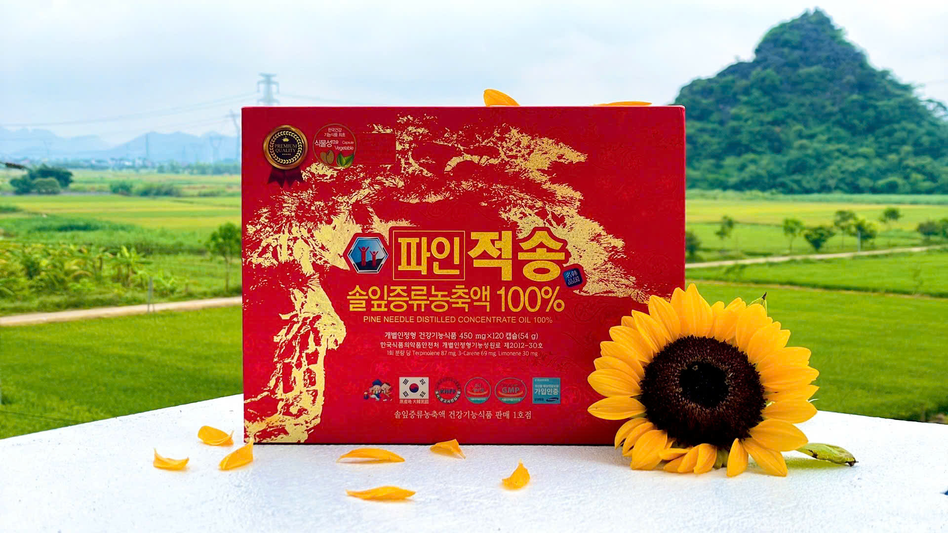 Tinh dầu thông đỏ hỗ trợ ổn định huyết áp cho người cao tuổi