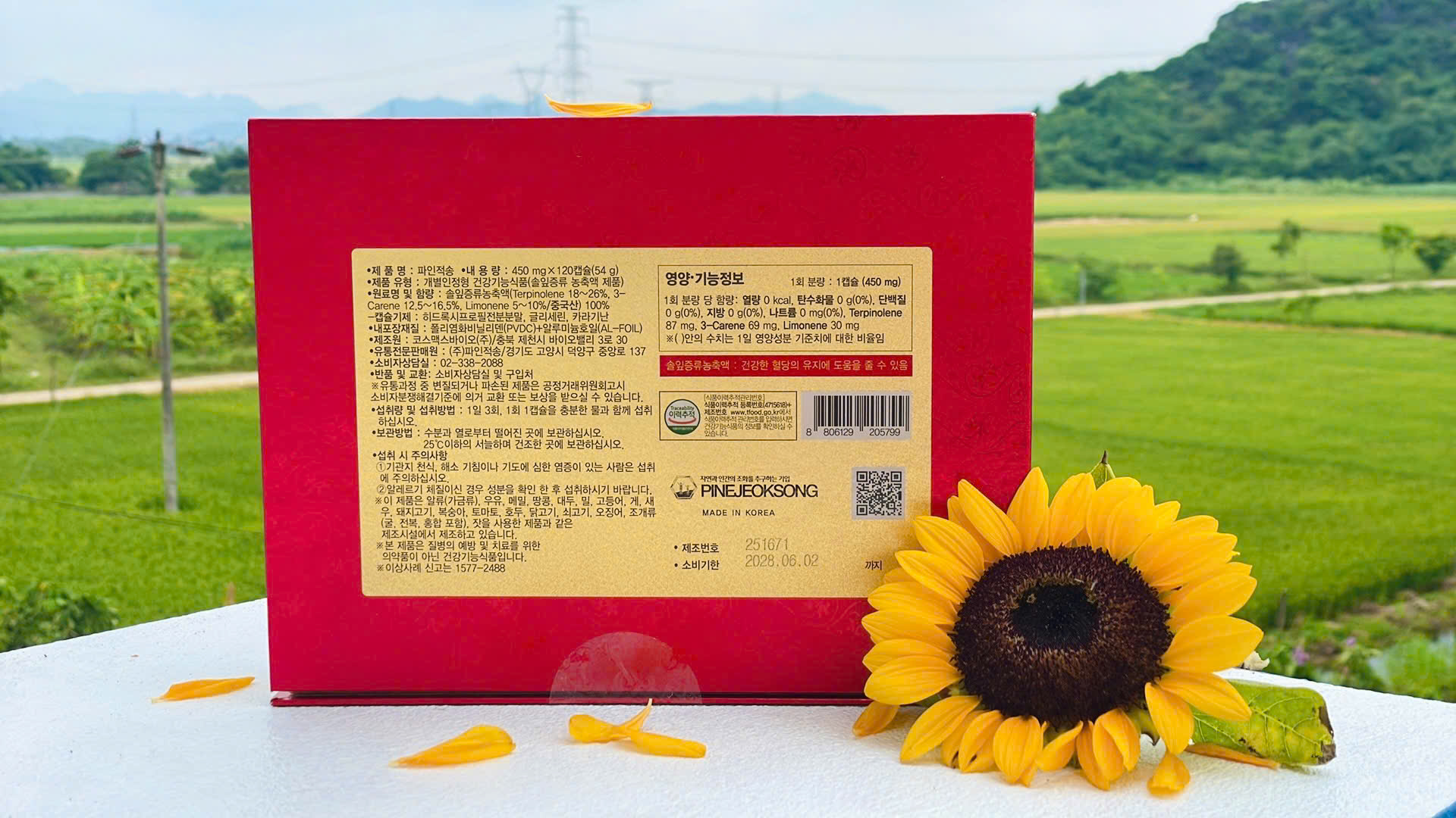 Thiết kế hộp tinh dầu thông đỏ 120 viên nguyên chất cao cấp