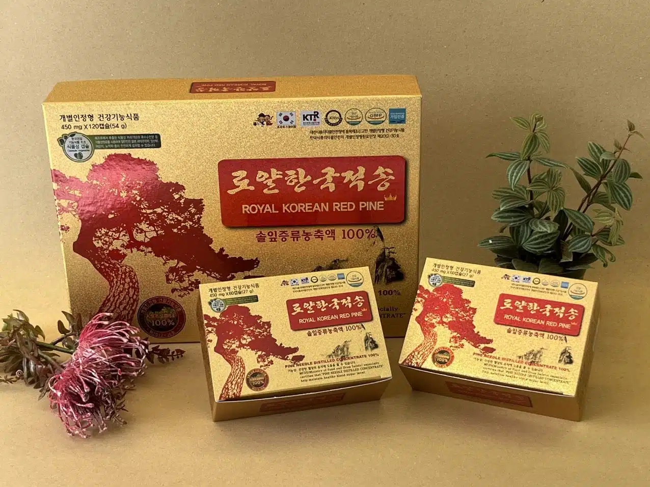 Thành phần vỏ nang (gelatin, glycerin) Tinh dầu thông đỏ ROYAL